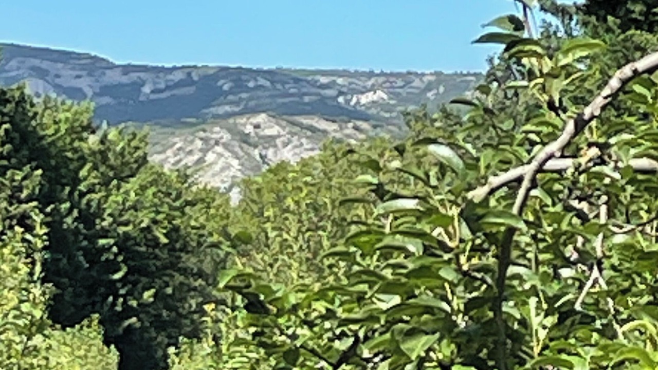 Photo of Outdoor in Senas
