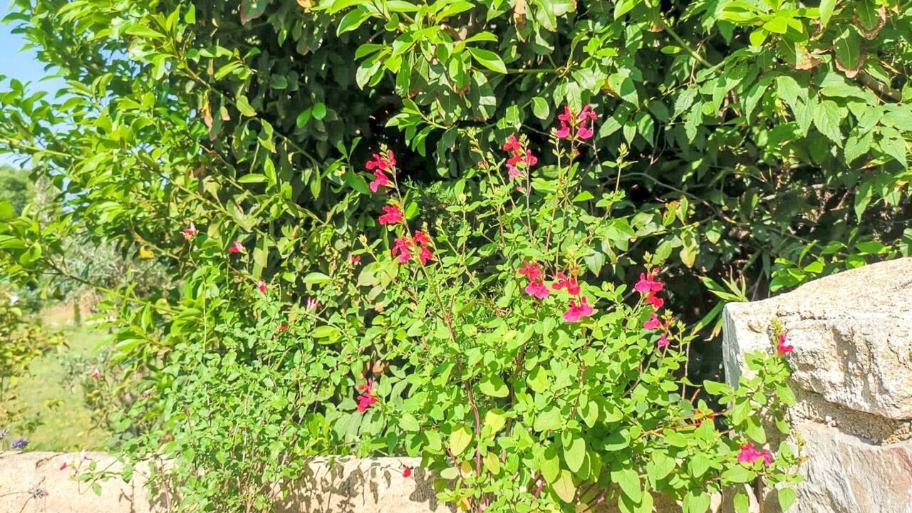 Photo of Outdoor in Sainte-Anastasie