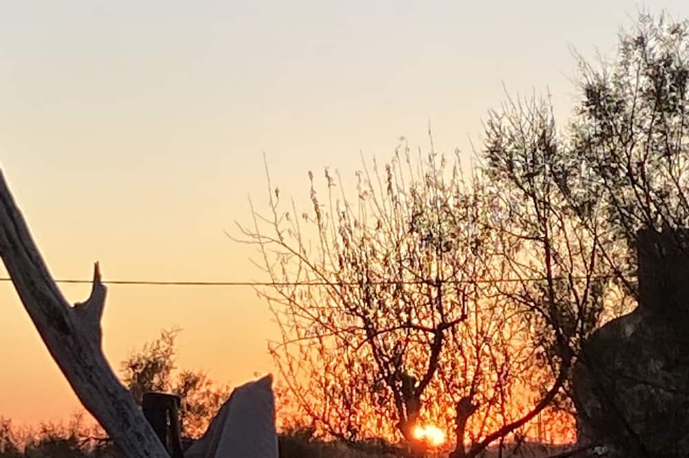Photo of Outdoor in Port-Saint-Louis-du-Rhone