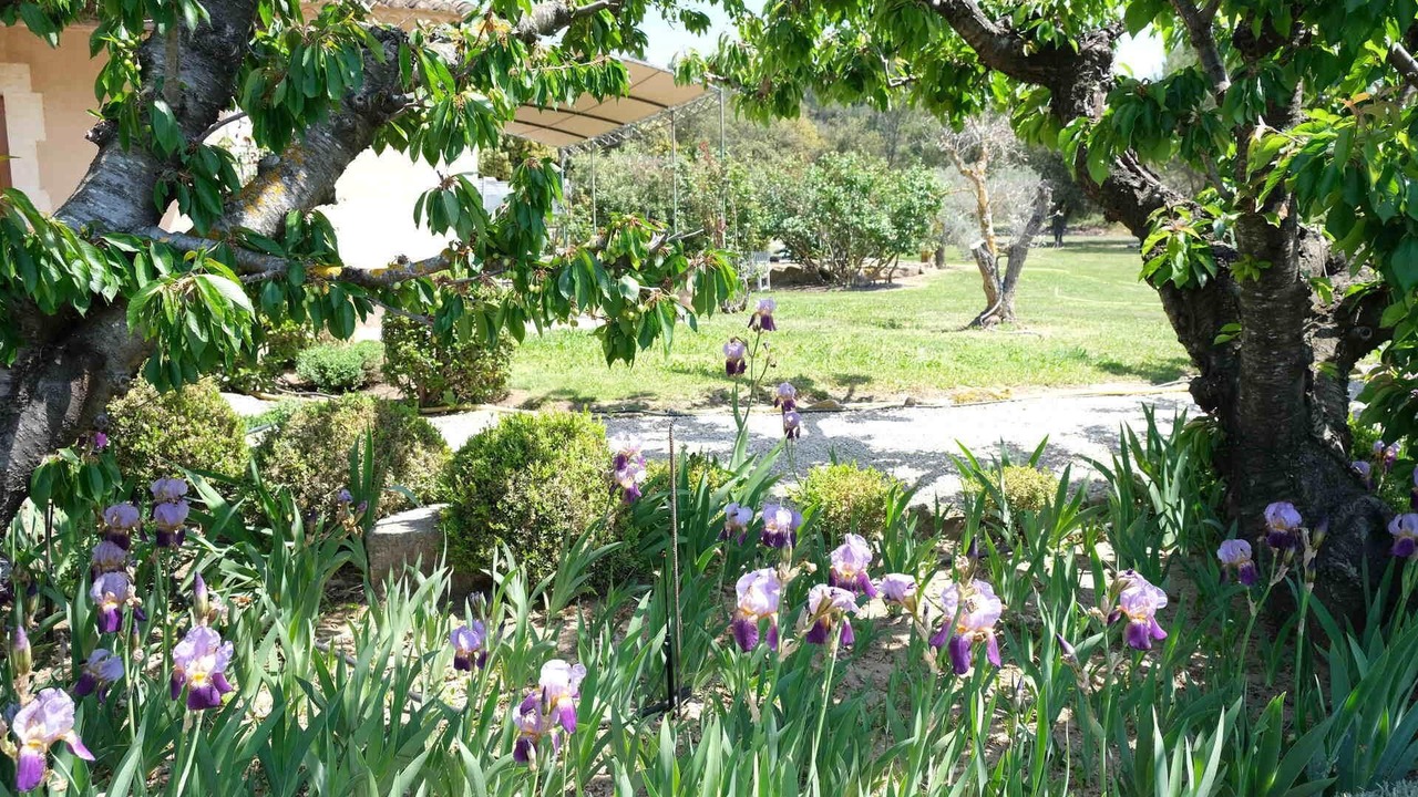 Photo of Outdoor in Orgon