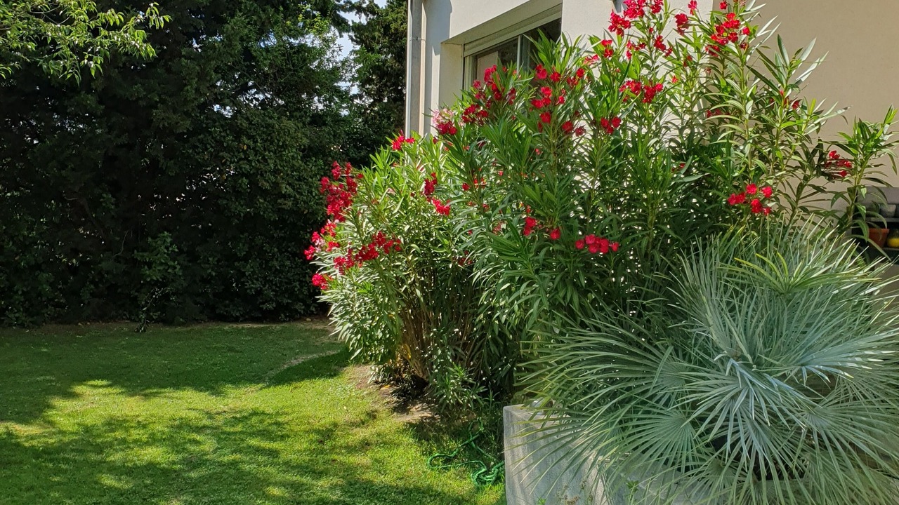 Photo of Outdoor in Salon-de-Provence