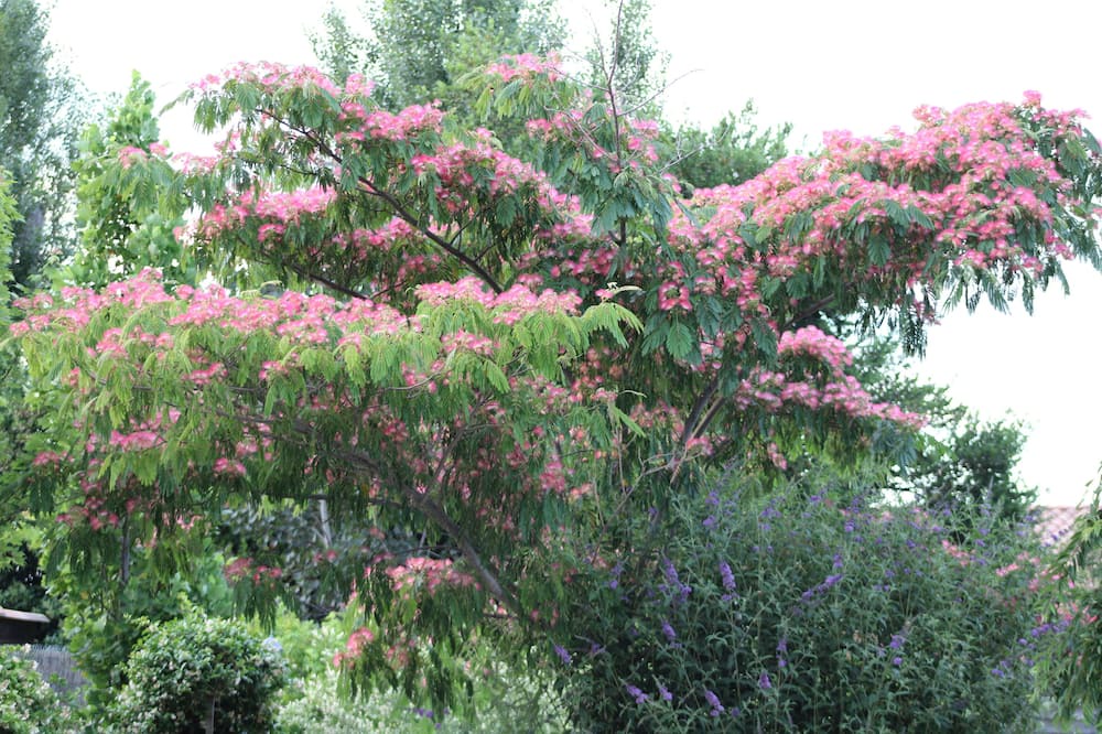 Photo of Outdoor in Cabannes