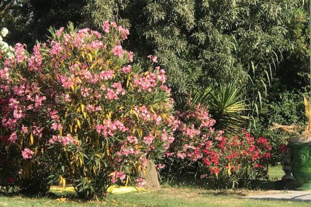 Photo of Outdoor in Arles