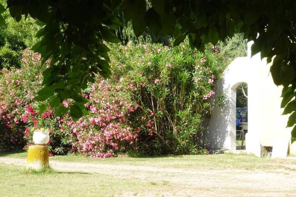Photo of Outdoor in Arles