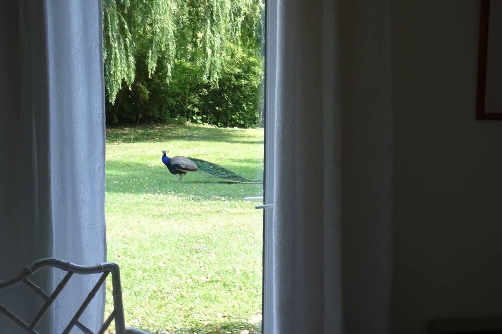 Photo of Others in Arles