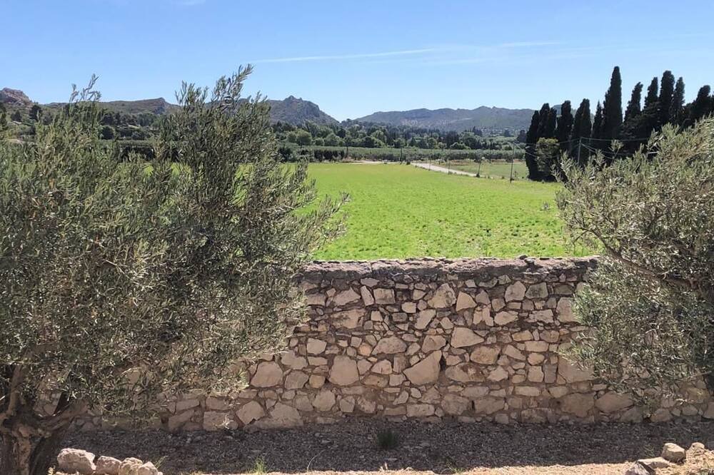 Photo of Others in Maussane-les-Alpilles