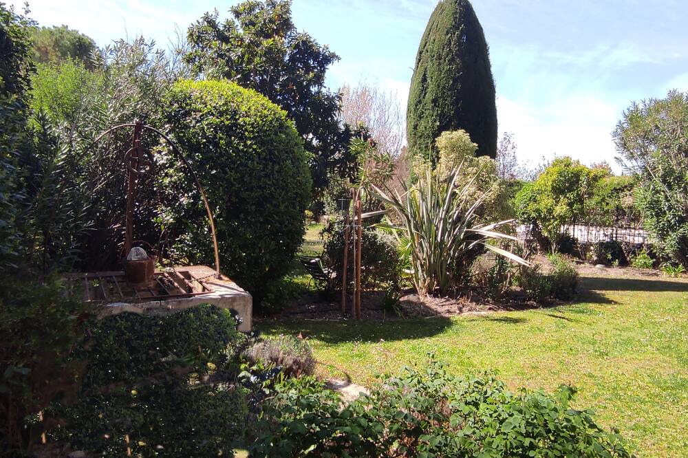 Photo of Outdoor in Maussane
