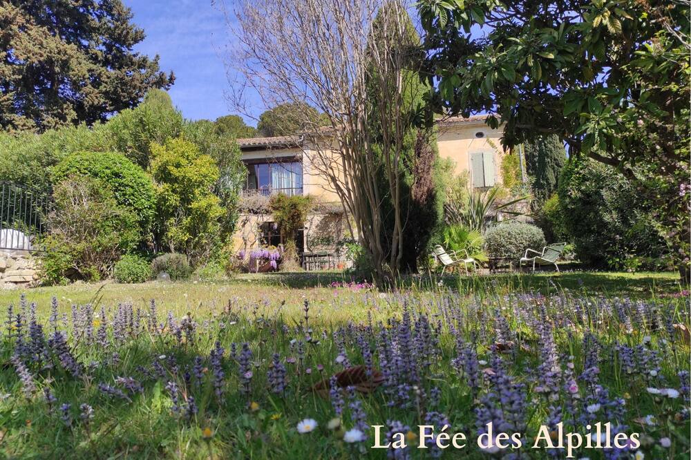 Photo of Outdoor in Maussane