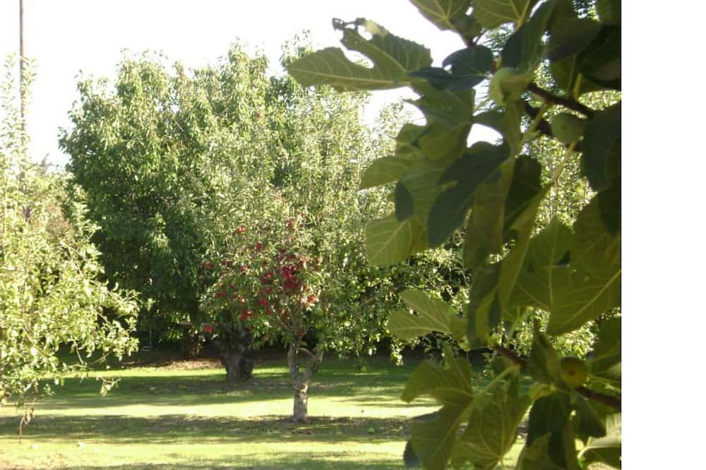 Photo of Others in Saint-Andiol