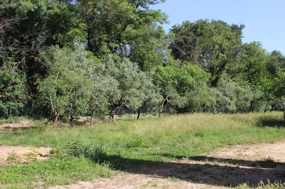 Photo of Outdoor in Brignoles