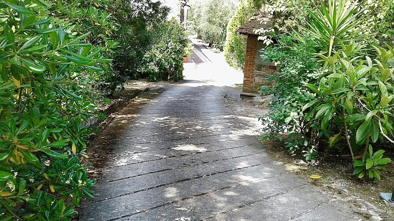 Photo of Outdoor in Montopoli in Val d'Arno