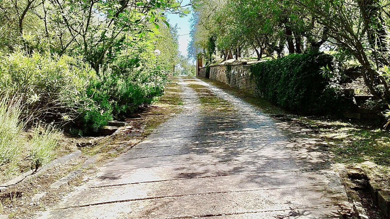 Photo of Outdoor in Montopoli in Val d'Arno