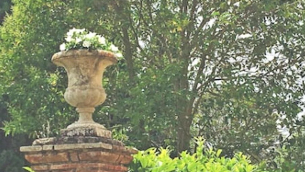 Photo of Outdoor in San Michele in Teverina