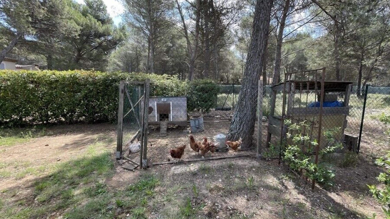 Photo of Outdoor in Lambesc