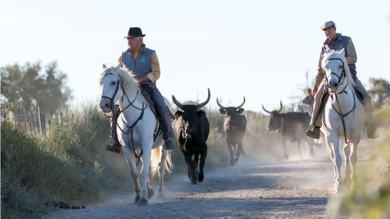 Photo of Others in Aramon