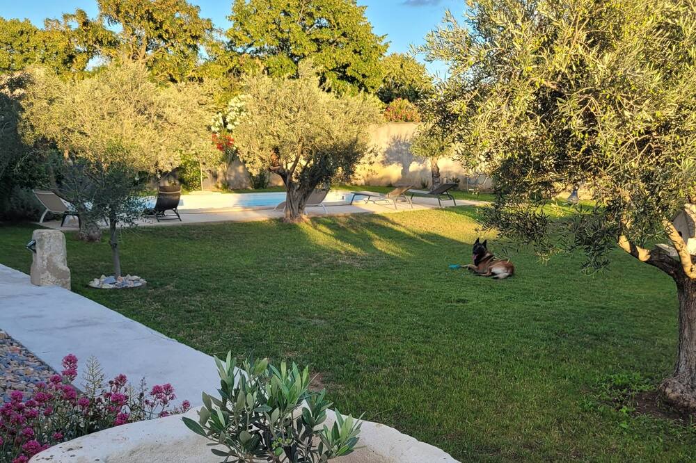 Photo of Outdoor in Chateaurenard