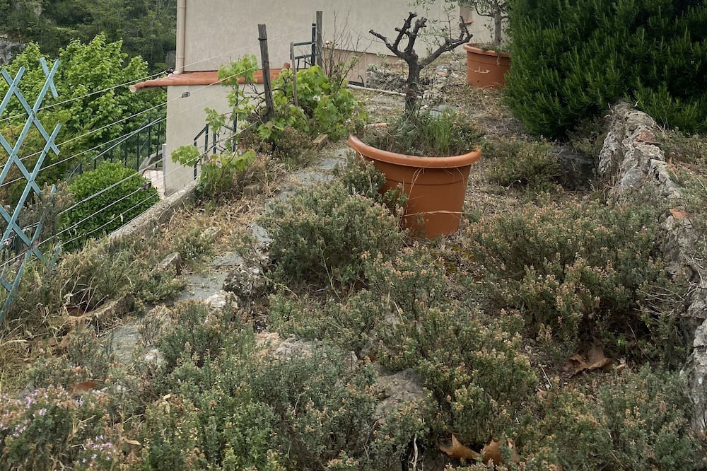 Photo of Outdoor in Peille
