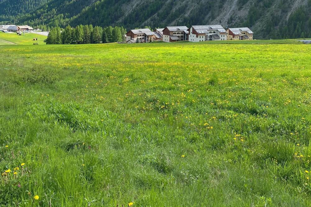 Photo of Outdoor in Arvieux