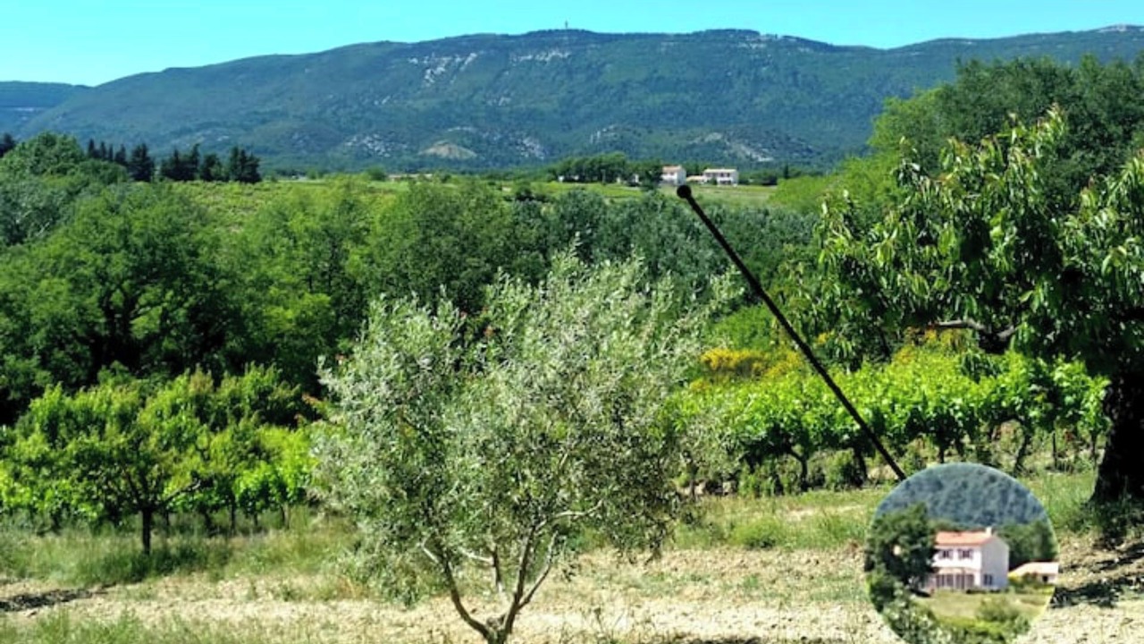 Photo of Outdoor in Cabrieres-dʼAigues
