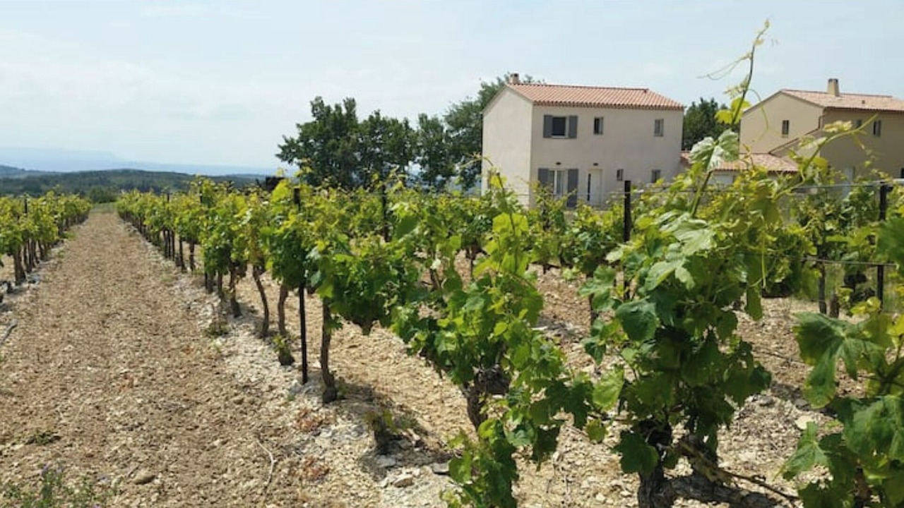 Photo of Outdoor in Cabrieres-dʼAigues