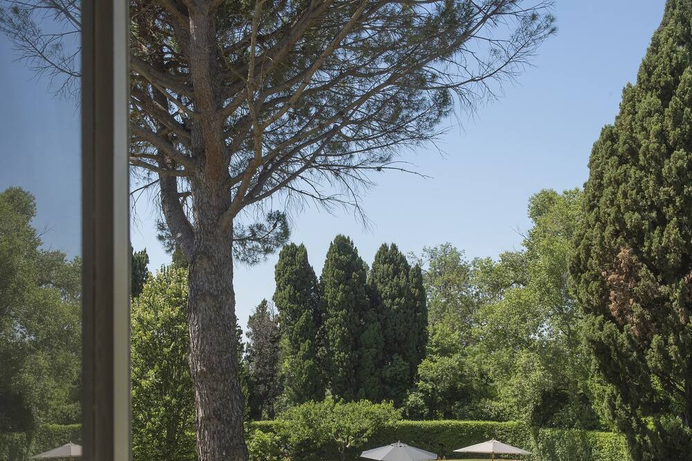 Photo of Outdoor in Maussane