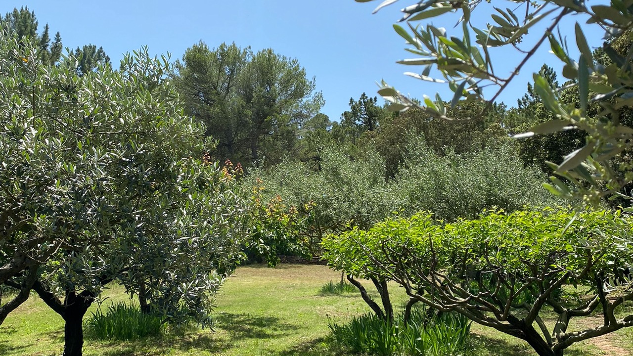Photo of Outdoor in Sillans-la Cascade