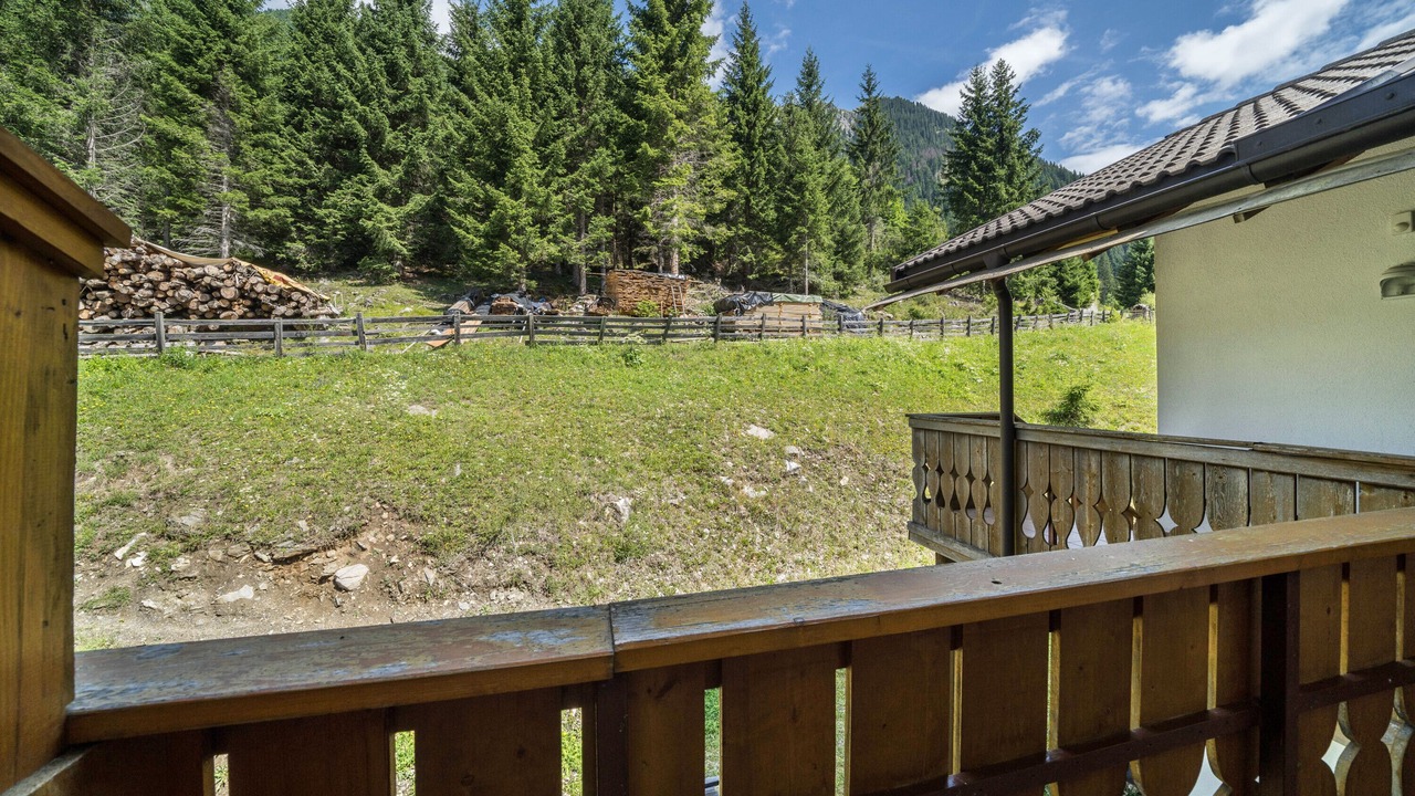 Photo of Outdoor in Racines