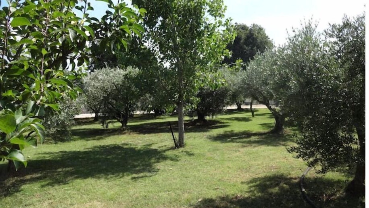 Photo of Outdoor in Arles