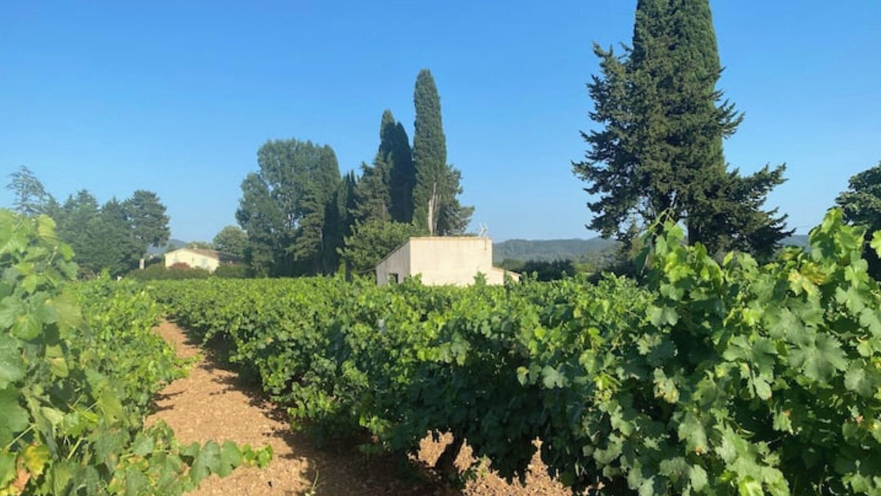 Photo of Others in Pierrefeu-du-Var