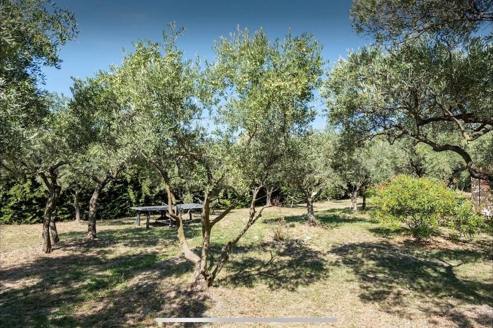 Photo of Outdoor in Cucuron