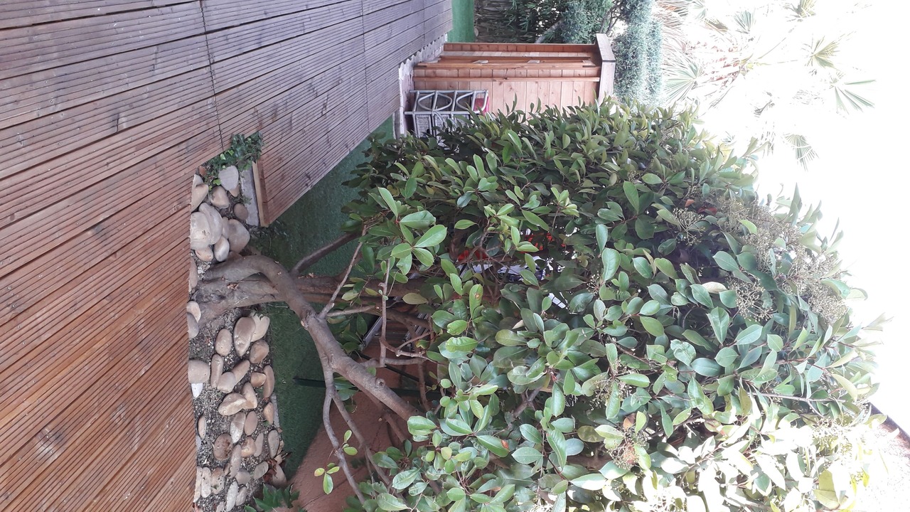 Photo of Outdoor in Perols
