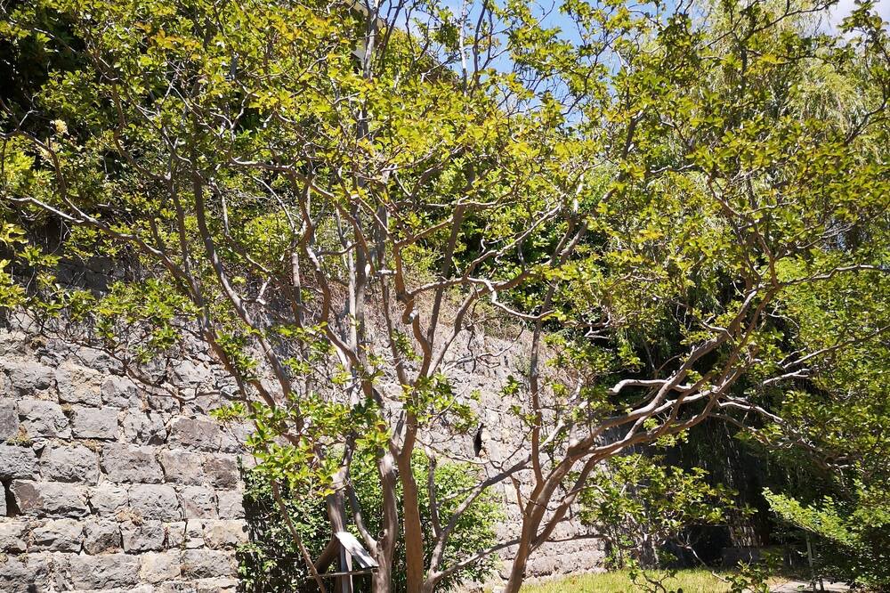 Photo of Outdoor in Seillans