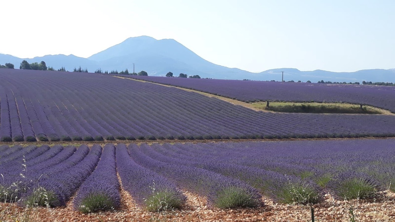 Photo of Outdoor in Aiglun