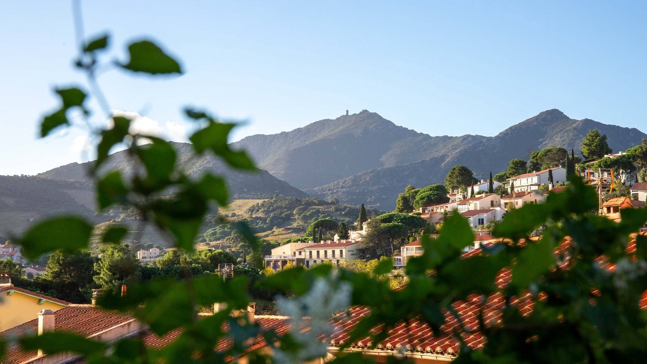 Photo of Outdoor in Collioure