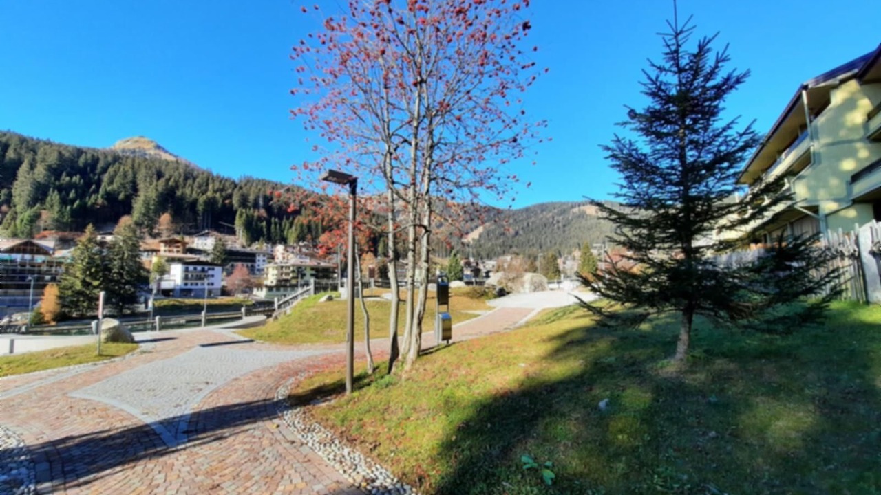 Photo of Outdoor in Madonna di Campiglio