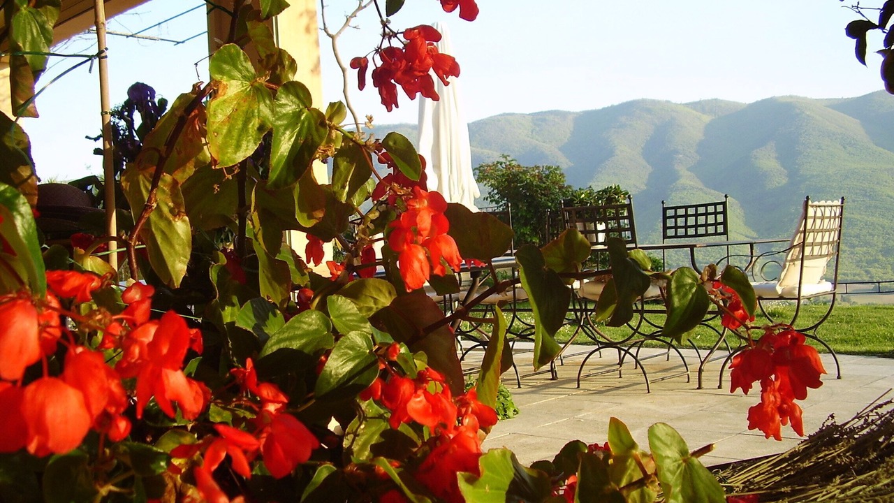 Photo of Outdoor in Saint-Martin-de-Castillon
