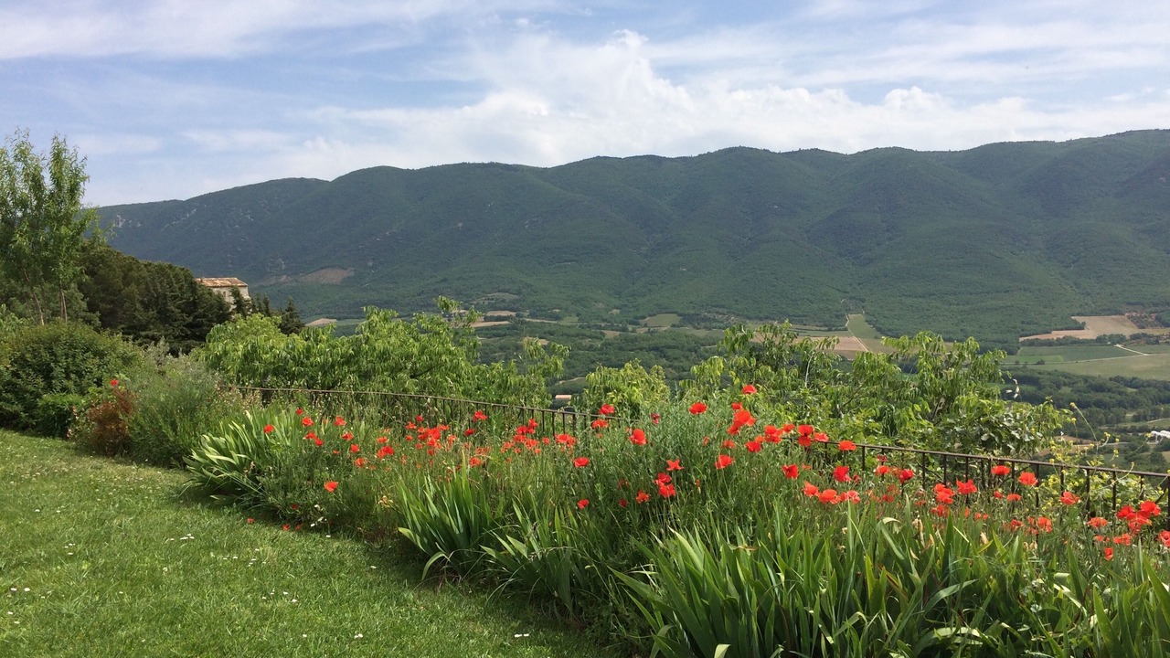 Photo of Outdoor in Saint-Martin-de-Castillon