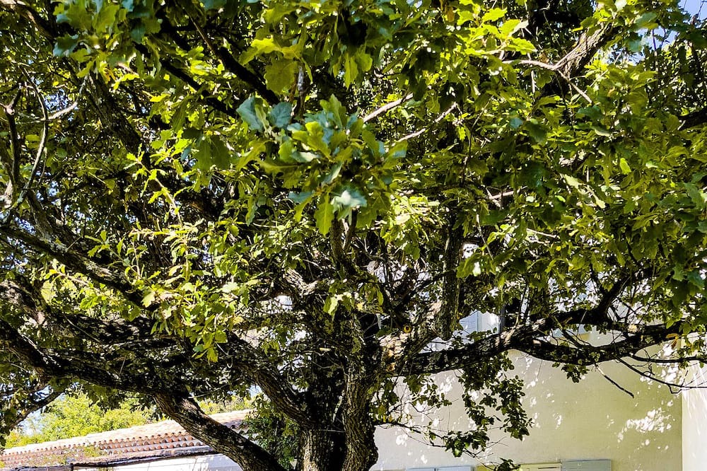 Photo of Outdoor in Est