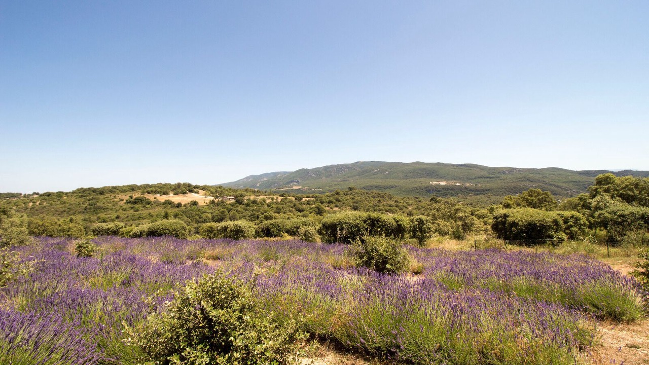 Photo of Outdoor in Bonnieux
