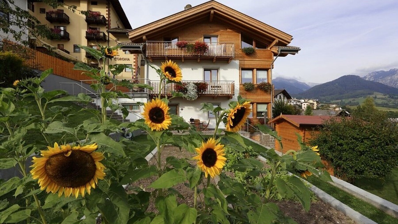 Photo of Outdoor in Carano