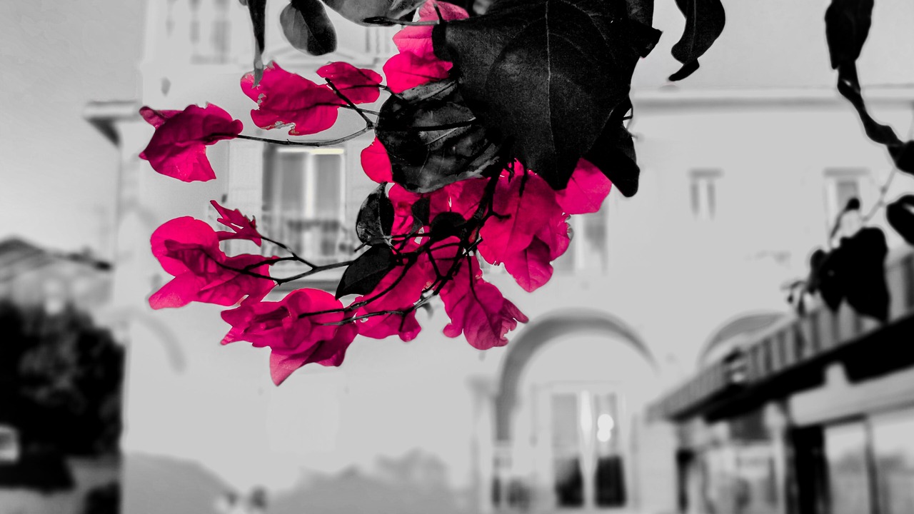 Photo of Outdoor in Roquebrune-Cap-Martin