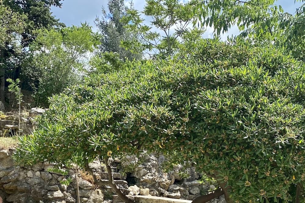 Photo of Outdoor in Lambesc