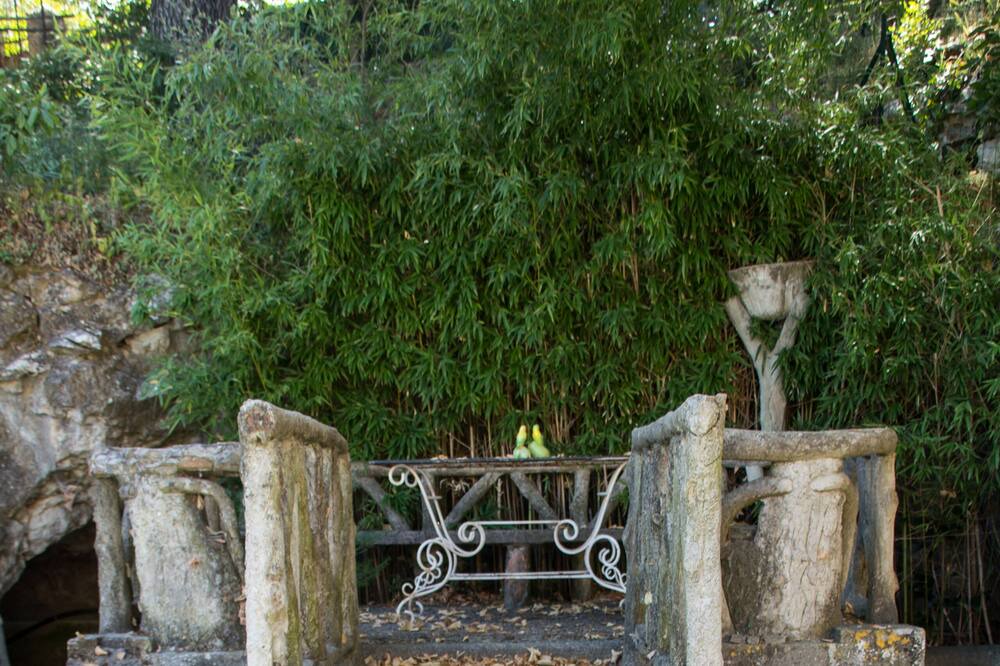 Photo of Outdoor in Lambesc
