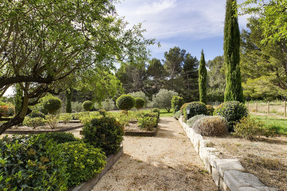 Photo of Others in Maussane-les-Alpilles