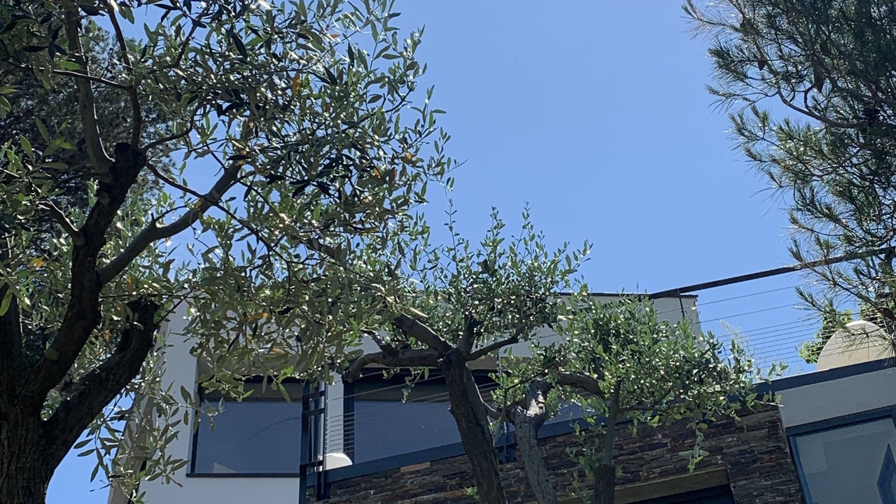Photo of Outdoor in La Pointe Rouge