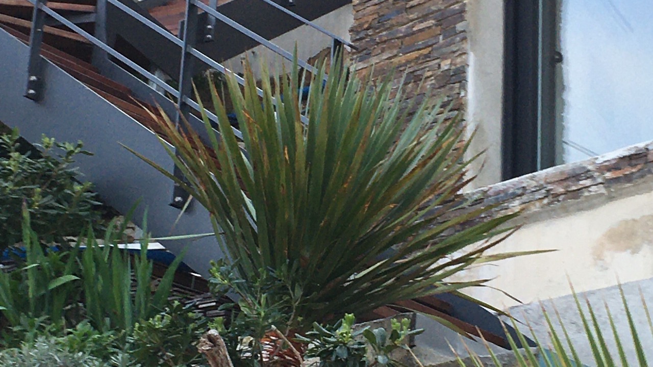 Photo of Outdoor in La Pointe Rouge