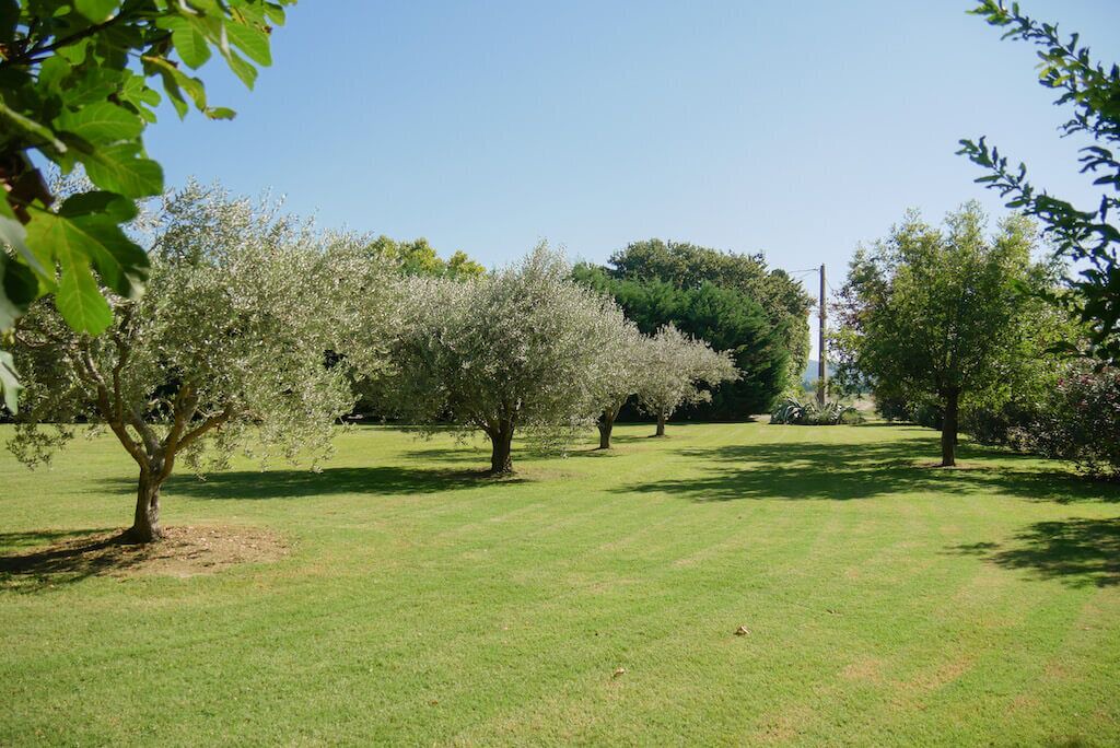 Photo of Others in Maillane