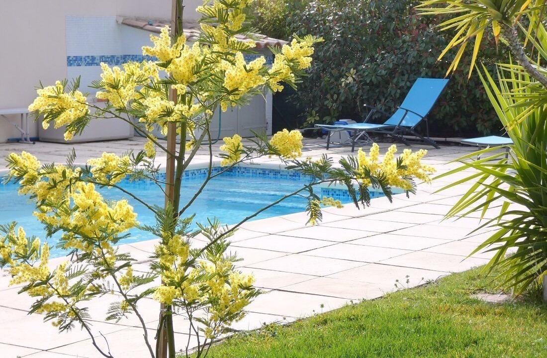 Photo of Outdoor in Aigues-Mortes