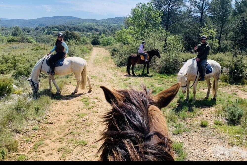Photo of Others in Cuges-les-Pins