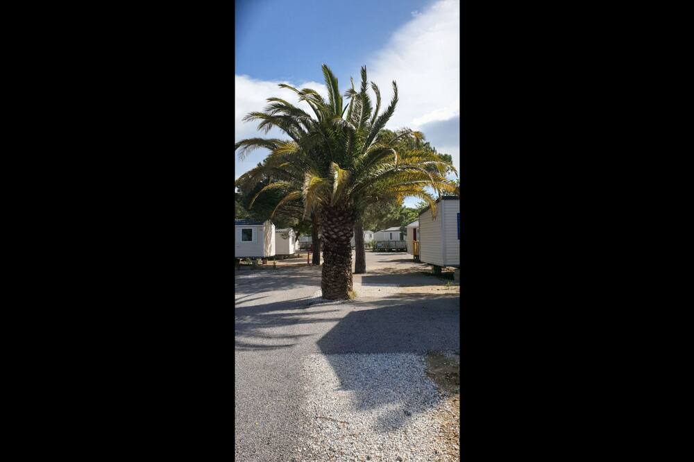 Photo of Others in La Cote Radieuse